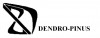 DENDRO-PINUS Paweł Sokołowski