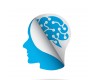 Pracownia EEG