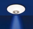 ADELIA 2637-55