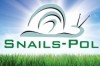 SNAILS-POL