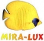 MIRA-LUX International Ltd Sp. z o.o. Baseny Kąpielowe i Akcesoria