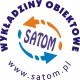 Firma Wielobranżowa "SATOM" Tomasz Sałtrukiewicz