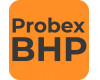 PROBEX BHP Bartosz Ulman